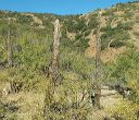 Hike on the Reavis Canyon Trail in the Superstitions