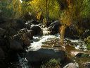 Photo of Reavis Creek in the Superstitions