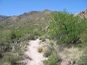 Hike on the Black Mesa loop in the Superstitions