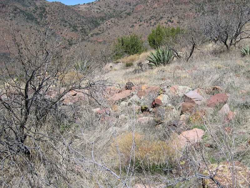 A hike on the Frog Tanks trail in the Superstitions