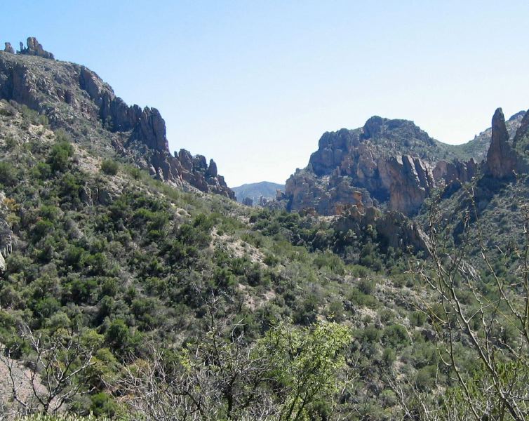 A hike on the Frog Tanks trail in the Superstitions
