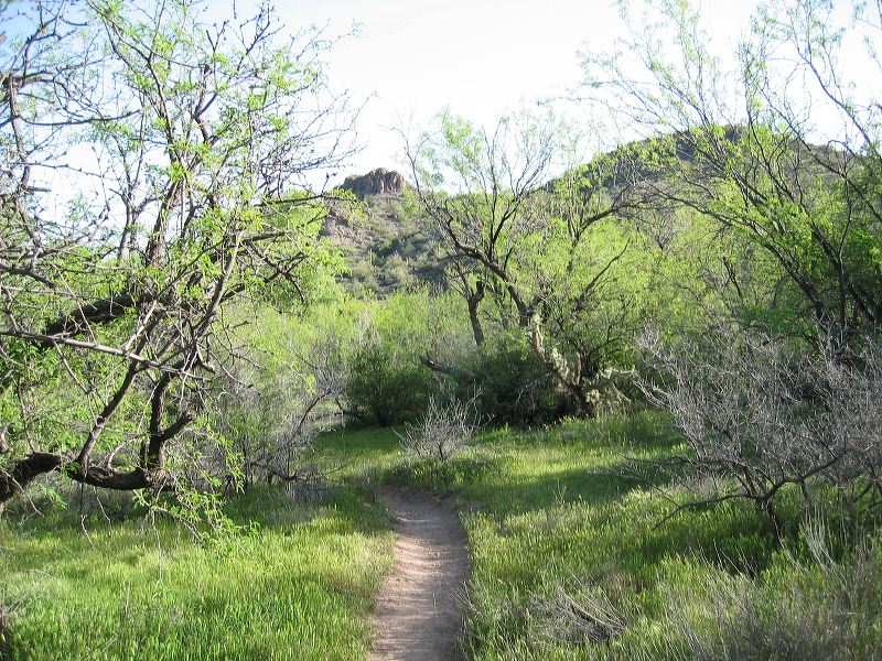 Hike from Hackberry Spring to First Water Ranch in the Superstitions