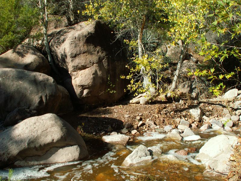 Photo of Reavis Creek in the Superstitions