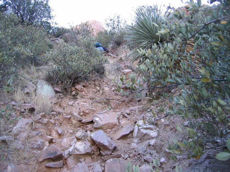 Alternate Siphon Draw route on Superstition Mountain