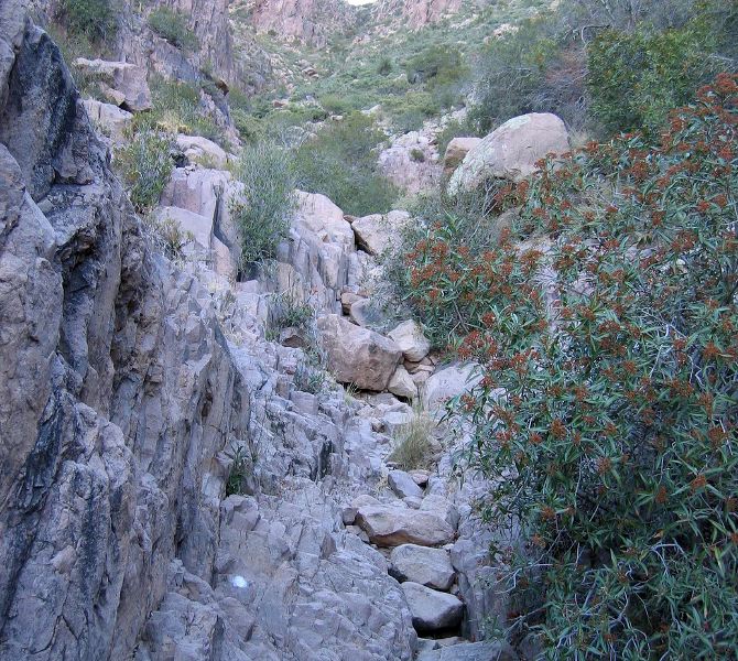Climb up Siphon Draw to the Superstition Ridgeline