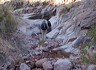 A hike on Upper First Water Creek into O'Grady Canyon in the Superstition Wilderness
