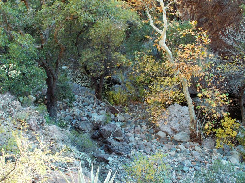 Hike on the West Pinto Trail in the Superstitions