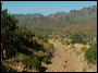 A hike on the Woodbury Trail 114 east to FR-172A in the Superstitions